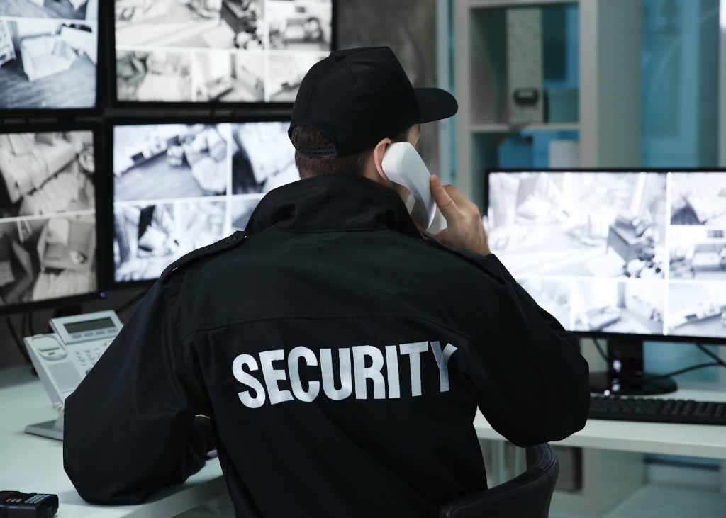 Security Professional observing monitors